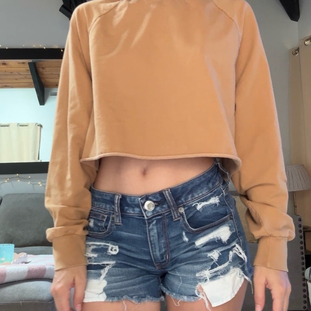 American Eagle Outfitters Blue Jean Shorts